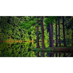 Картина на холсте 60x110 Альянс Лес "Ели река лес отражение в" на подрамнике / интерьер/ декор