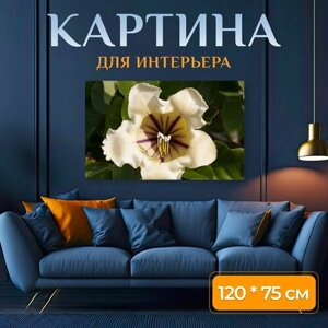 Картина на холсте "Цвести, цветок, кустарник" на подрамнике 120х75 см. для интерьера
