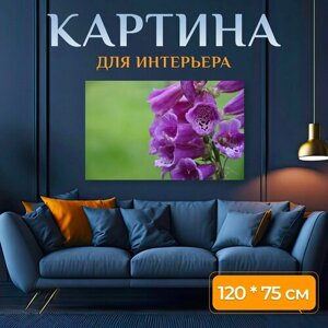Картина на холсте "Цветок, завод, цвести" на подрамнике 120х75 см. для интерьера