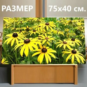 Картина на холсте "Цветы, природа, салон красоты" на подрамнике 75х40 см. для интерьера