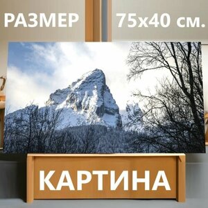 Картина на холсте "Горы, зима, снег" на подрамнике 75х40 см. для интерьера