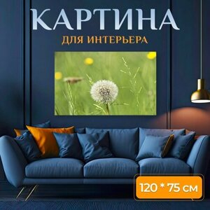 Картина на холсте "Одуванчик, луг, природа" на подрамнике 120х75 см. для интерьера