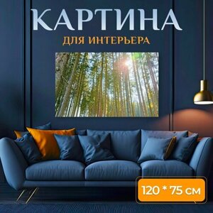 Картина на холсте "Природа, деревья, форрест" на подрамнике 120х75 см. для интерьера