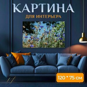 Картина на холсте "Синие цветы, васильков, цветение" на подрамнике 120х75 см. для интерьера