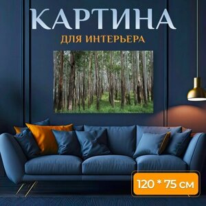 Картина на холсте "Сундуки, лес, деревья" на подрамнике 120х75 см. для интерьера