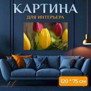 Картина на холсте "Тюльпаны, цветы, красный" на подрамнике 120х75 см. для интерьера