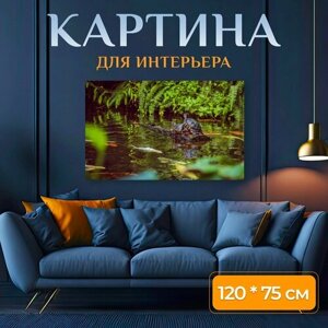 Картина на холсте "Вода, черепахи, кои" на подрамнике 120х75 см. для интерьера