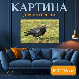 Картина на холсте "Ворона, чернить, птица" на подрамнике 120х75 см. для интерьера