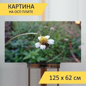 Картина на ОСП "Природа, цветок, флора" 125x62 см. для интерьера на стену