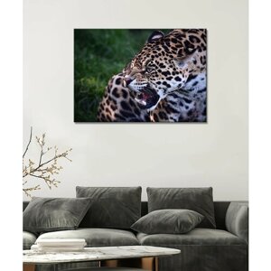 Картина/Ягур/Ягуар в джунглях/Ягуар на дереве/Черный ягуар/Ягуар (54) 30х40