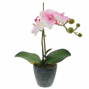 Композиция "орхидея", L22 W9 H33 765114 remeco