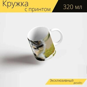 Кружка с рисунком, принтом "Собака, молодая собака, шелти" 320 мл.