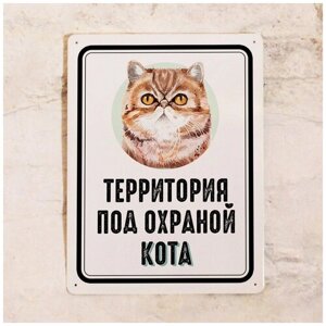 Металлическая табличка на забор Территория под охраной кота Экзота , идея подарка владельцу кота , металл, 20х30 см