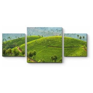 Модульная картина Красота зеленых полей 130x56