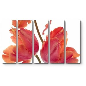 Модульная картина Распустившиеся тюльпаны 210x126