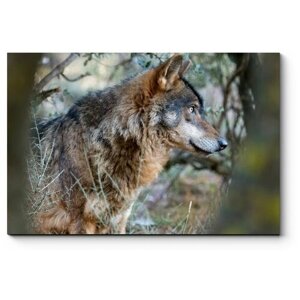 Модульная картина Волк спрятался между деревьями 140x93
