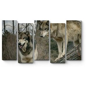Модульная картина Волки в осеннем лесу 200x116