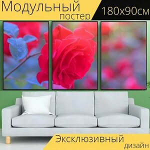 Модульный постер "Красная роза, роза, цветок" 180 x 90 см. для интерьера