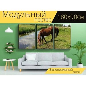 Модульный постер "Лошадь, лошади, природа" 180 x 90 см. для интерьера