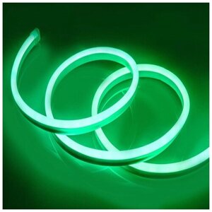 Неоновая светодиодная лента DLED 2м, 5х12мм, 12V DC, 120 LED/m, IP 67, гибкий неон, зеленый