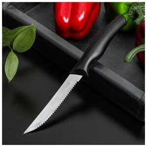 Нож Доляна «Грайм» для мяса, зубчатое лезвие 11,5 см, цвет чёрный