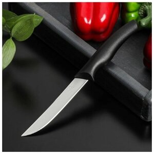 Нож кухонный Доляна «Грайм», лезвие 11,5 см, цвет чёрный