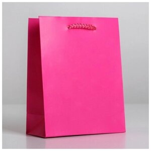 Пакет подарочный ламинированный, упаковка, «Фуксия», S 12 х 15 х 5,5 см