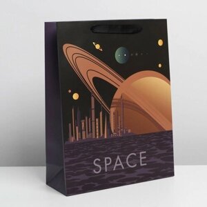 Пакет подарочный ламинированный вертикальный, упаковка, «Pluto», L 31 х 40 х 11,5 см
