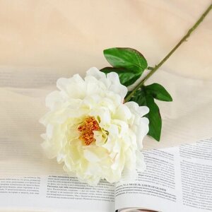 Poetry in flowers Цветы искусственные "Пион бархатный" 15х55 см, белый