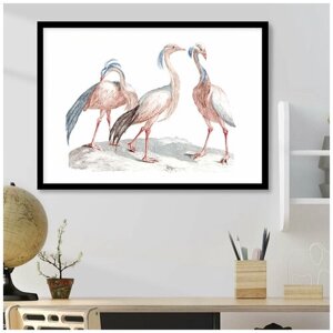 Постер В рамке "Фламинго, 3 птицы иллюстрация" 50 на 70 (черная рама) / Картина для интерьера / Плакат / Постер на стену / Интерьерные картины