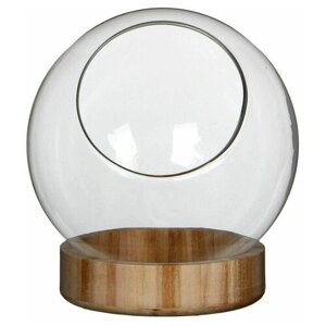 Стеклянный шар-флорариум на деревянной подставке прозрачный, 17х14 см, Edelman
