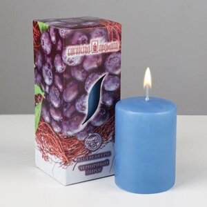 Свеча ароматическая Кокосовый рай, 4x6 см, в коробке