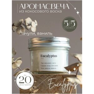 Свеча ароматическая с деревянным фитилем Eucalyptus 100 ml / с запахом эвкалипта и мяты / Wow Aroma