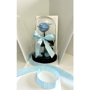 Живая роза в колбе Premium 27х15, подарочная коробка, голубая, подарок на день рождения, стабилизированный цветок