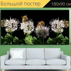 Большой постер "Пчелы, насекомые, цветочная пыльца" 180 x 90 см. для интерьера