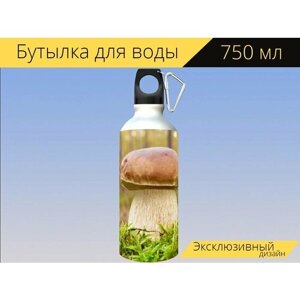 Бутылка фляга для воды "Белый гриб, времена года, осень" 750 мл. с карабином и принтом