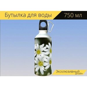 Бутылка фляга для воды "Белый, желтый, зеленый" 750 мл. с карабином и принтом