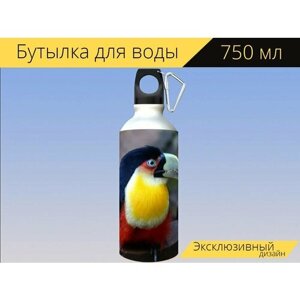 Бутылка фляга для воды "Бразилия, тукан, птица" 750 мл. с карабином и принтом
