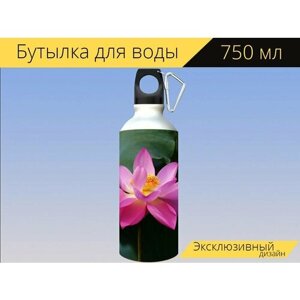 Бутылка фляга для воды "Цветок, ботанический сад, lotus" 750 мл. с карабином и принтом