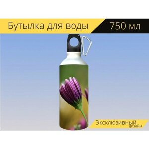Бутылка фляга для воды "Цветок, маргарита, цветочное приветствие" 750 мл. с карабином и принтом
