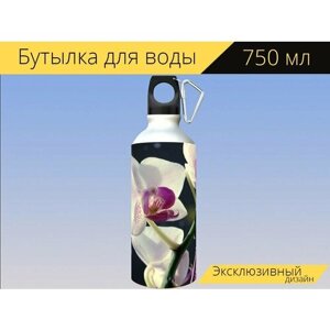 Бутылка фляга для воды "Цветок, орхидея, декоративное растение" 750 мл. с карабином и принтом