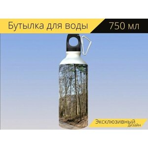 Бутылка фляга для воды "Деревья, природа, дендрарий" 750 мл. с карабином и принтом