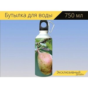 Бутылка фляга для воды "Груша, фрукты, оса" 750 мл. с карабином и принтом