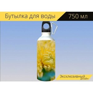 Бутылка фляга для воды "Хризантема, садовые хризантемы, цветок" 750 мл. с карабином и принтом