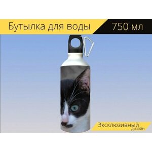 Бутылка фляга для воды "Кошка, котенок, лицо" 750 мл. с карабином и принтом