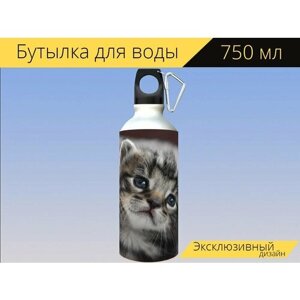 Бутылка фляга для воды "Кошка ребенок, кот, котенок" 750 мл. с карабином и принтом