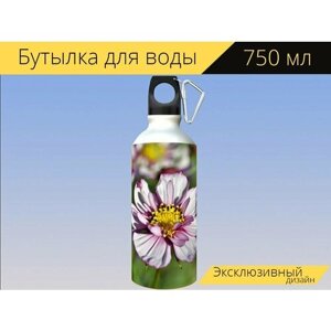 Бутылка фляга для воды "Космея, цветок, цвести" 750 мл. с карабином и принтом