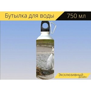 Бутылка фляга для воды "Кот, меха, белый" 750 мл. с карабином и принтом