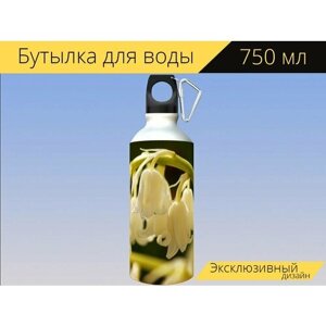 Бутылка фляга для воды "Ландыш, колокол, белый цветок" 750 мл. с карабином и принтом