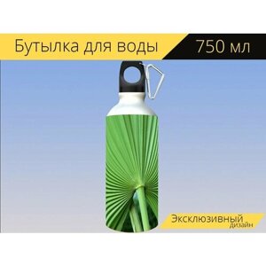 Бутылка фляга для воды "Лист, тропический лист, тропические растения" 750 мл. с карабином и принтом
